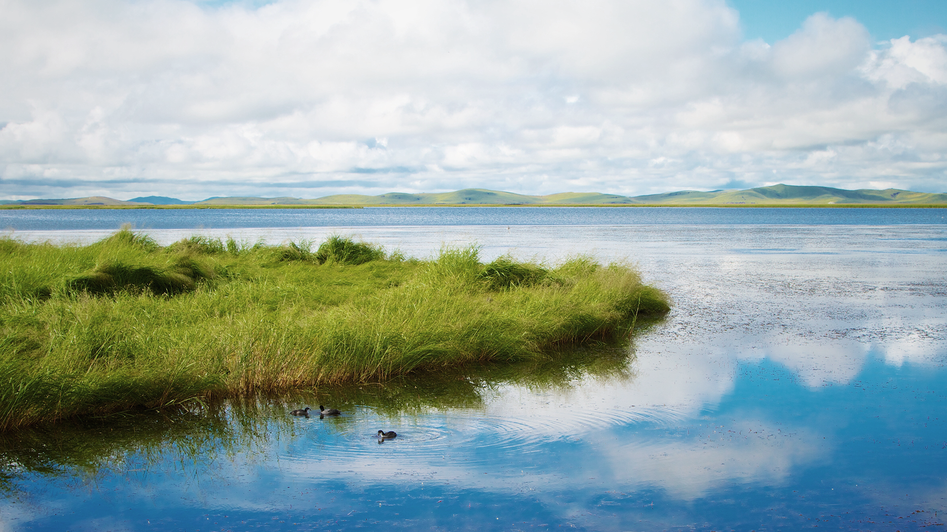 Lakes and Ponds LIVE Now You Know