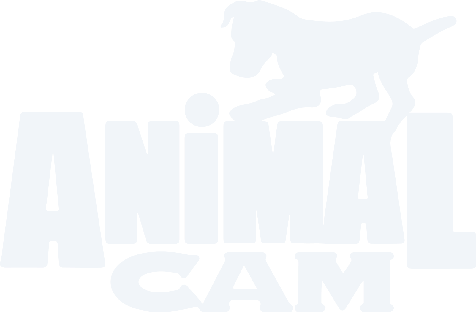 Animal Cam (ZMG Wild)