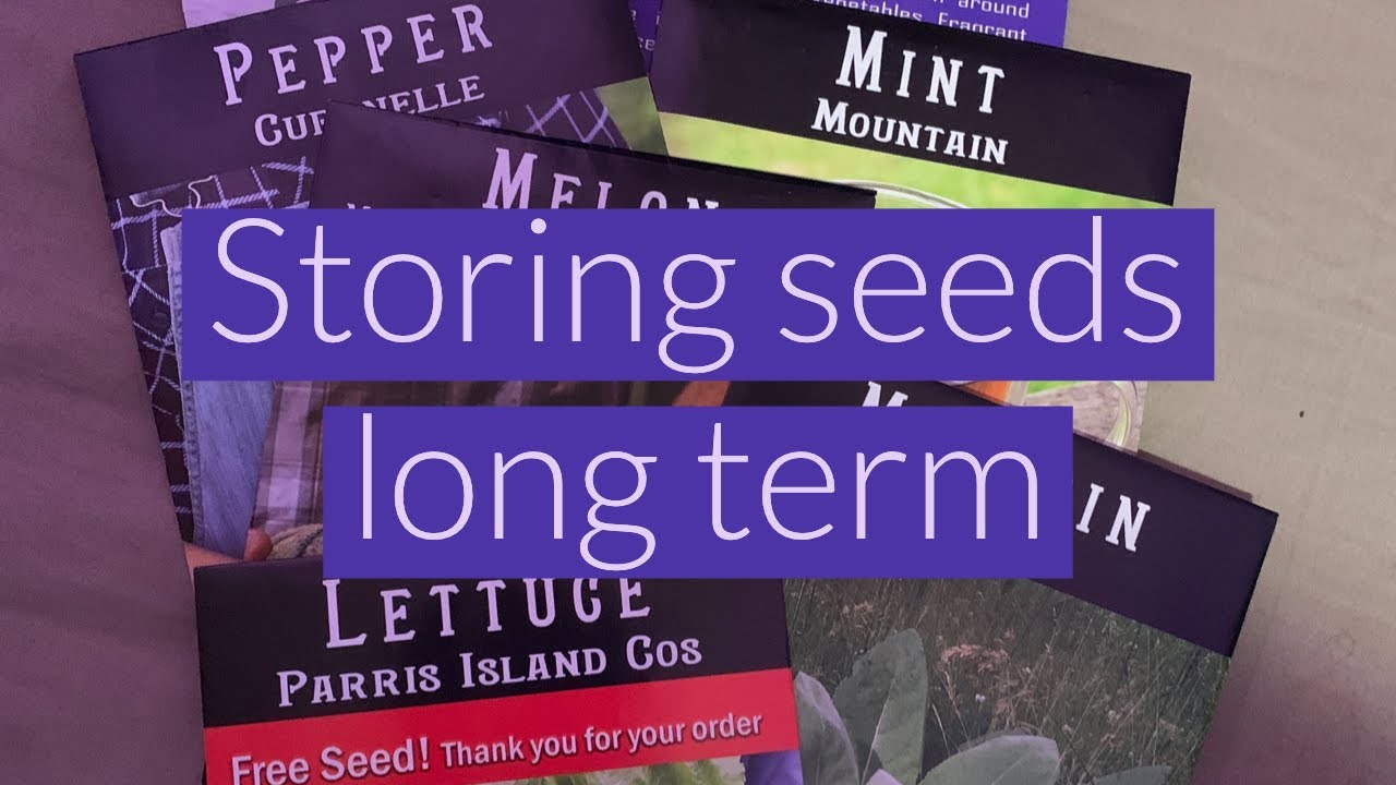 How to Store Seeds Long Term [Preparedness Unit ] RecoilTV