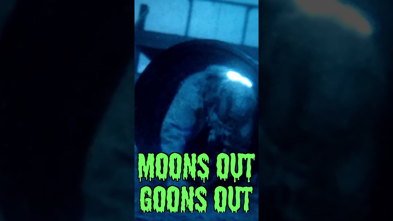 Moons Out Goons Out 2024 Night Rifle Match | RecoilTV